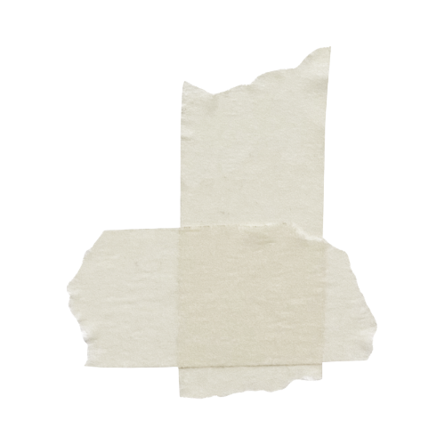 White rectangular pieces of paper or document clippings arranged in a scattered pattern against a light background.