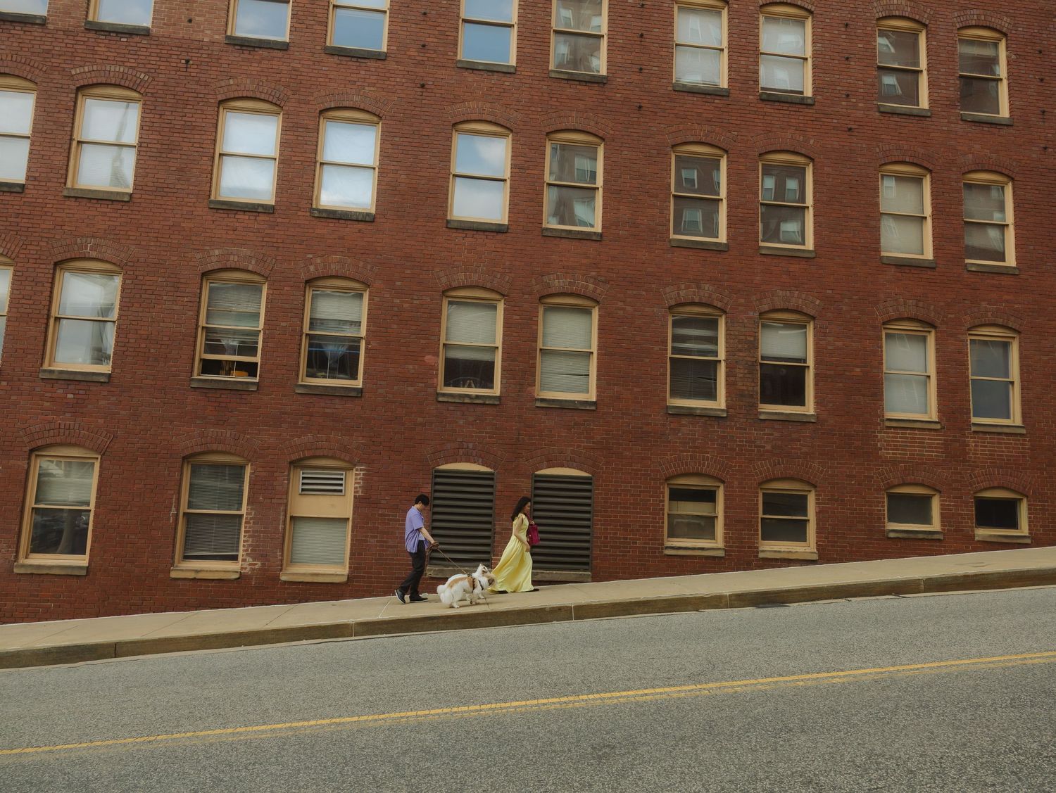 Two people walk a dog past a large red brick building with many windows on a city street.