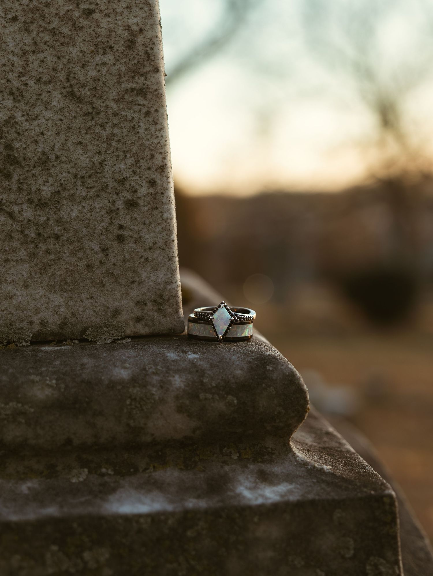 A close-up sequence showing a small bird perched on the edge of a concrete surface at different angles.
