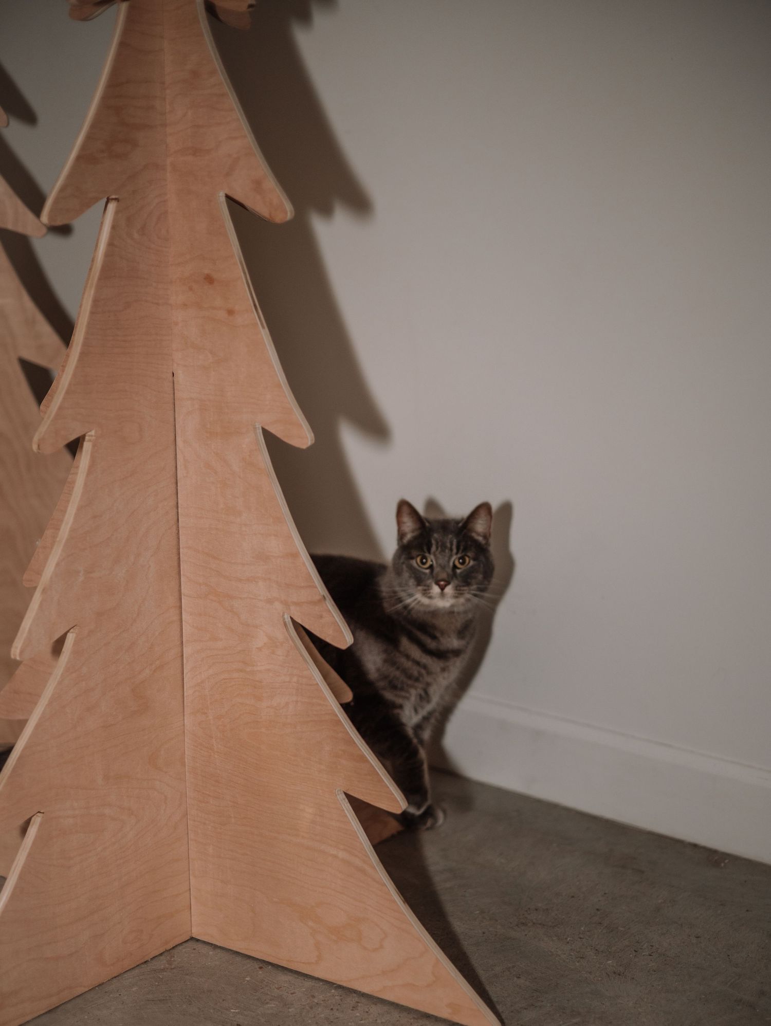 Grey tabby cat peeking out from behind a wooden decorative Christmas tree display.