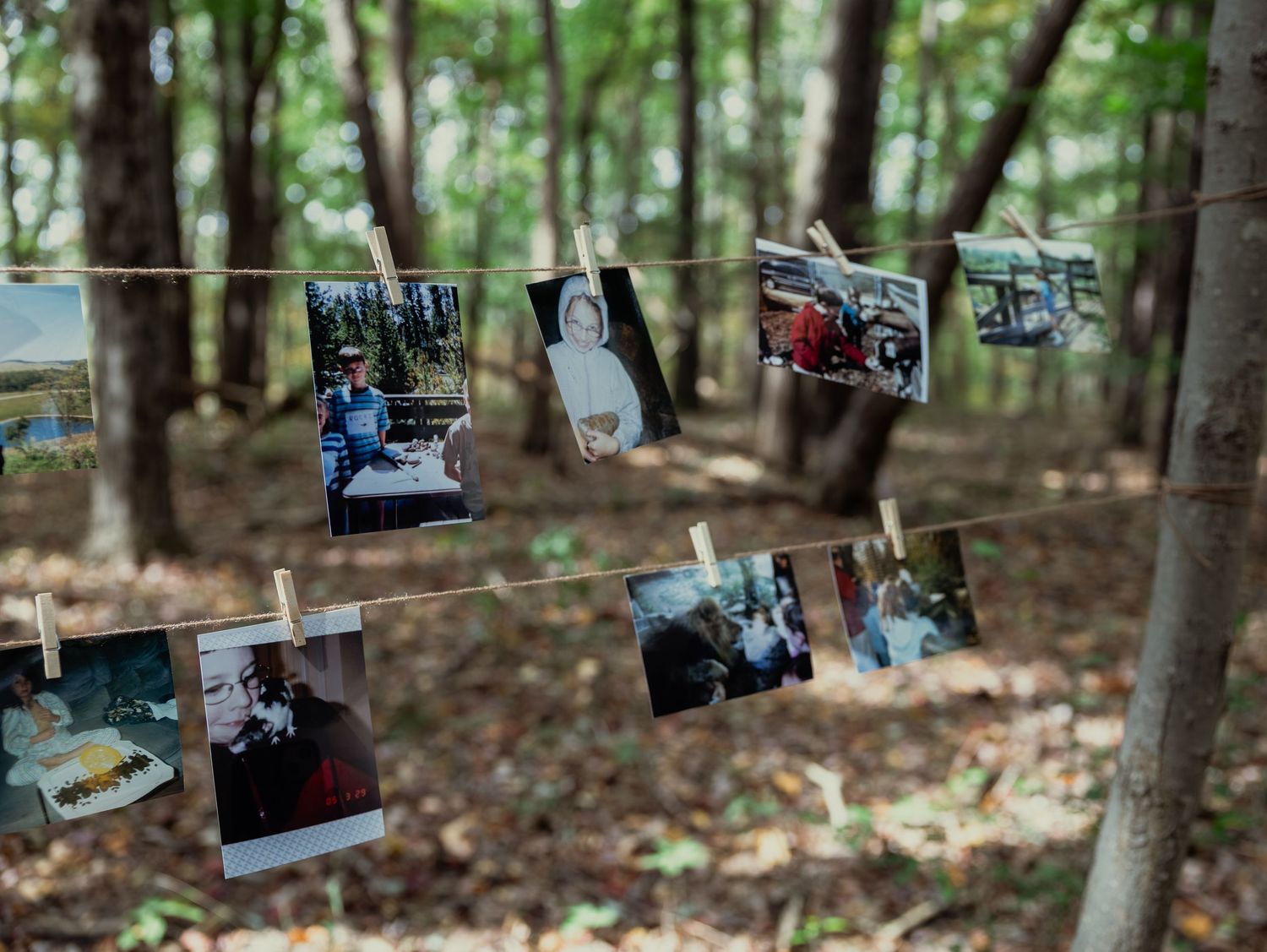 Multiple photographs strung between trees in a forest setting creating an outdoor gallery display.