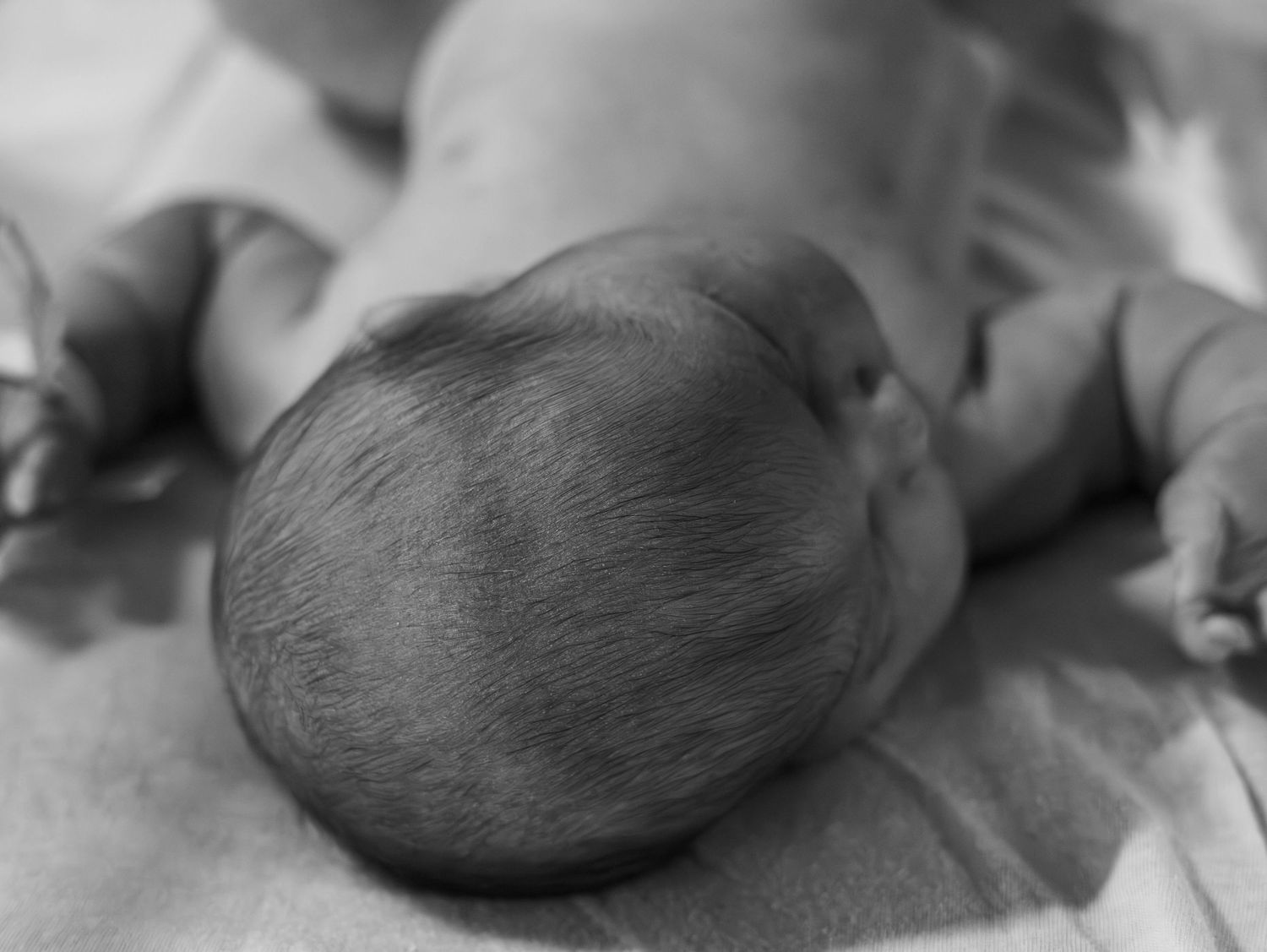 Black and white image of a newborn baby's head resting on soft fabric.