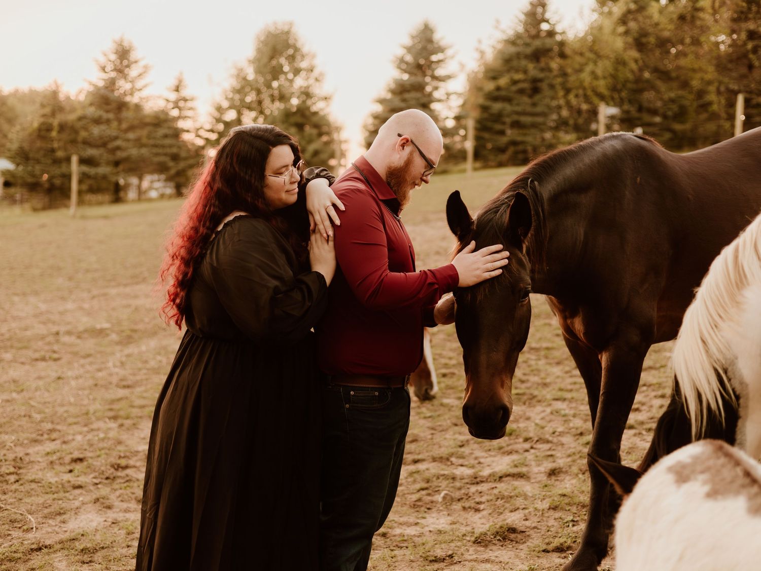 A series of romantic sunset photos showing tender moments between a couple and their horses in a rustic field setting.