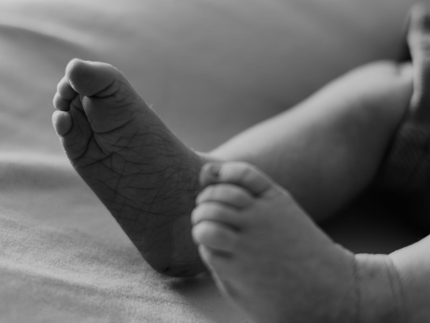 Close-up black and white photo showing tiny newborn baby feet in a row against a soft background.