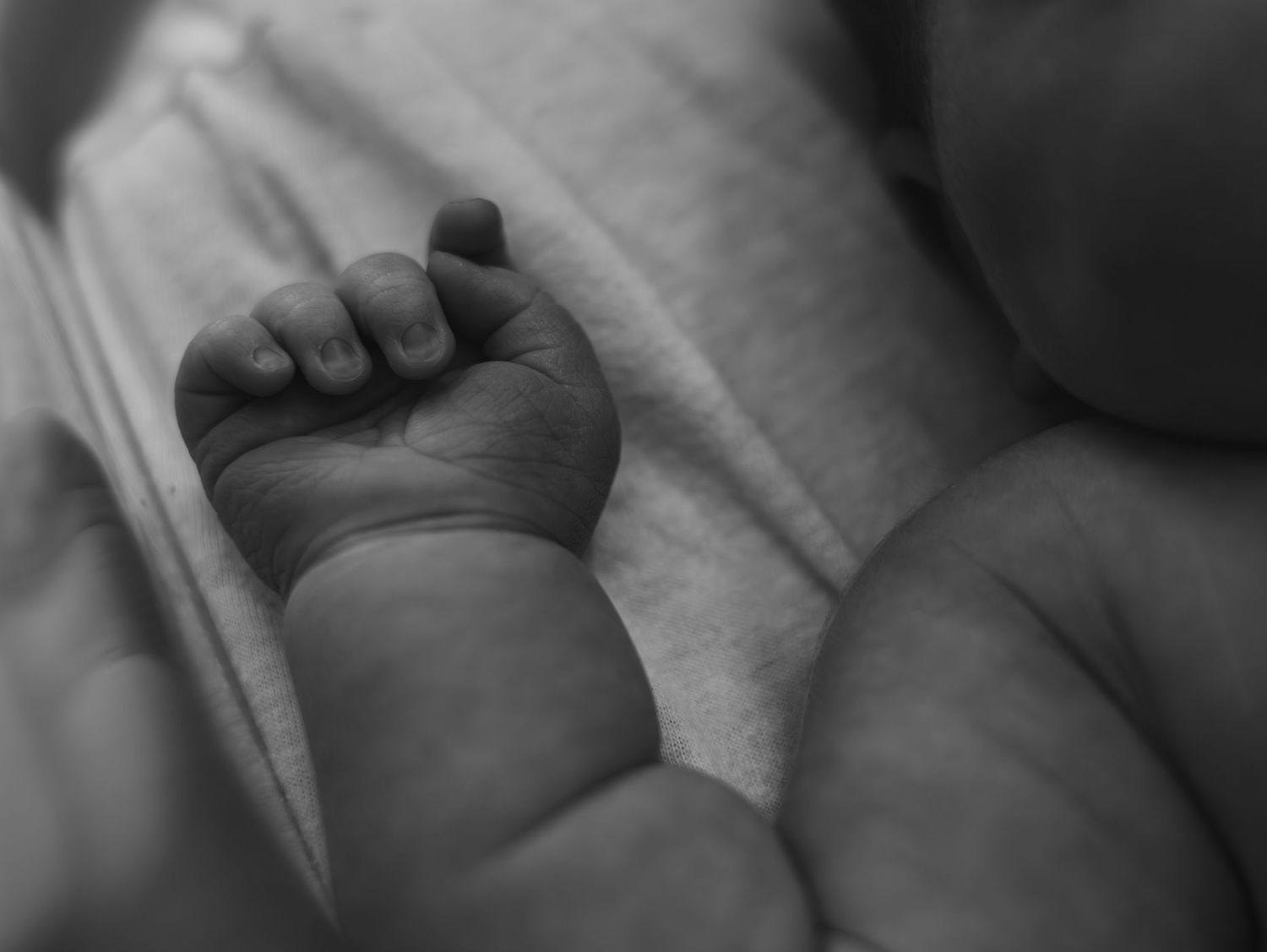 A series of black and white close-up photos showing tiny baby feet in soft focus.