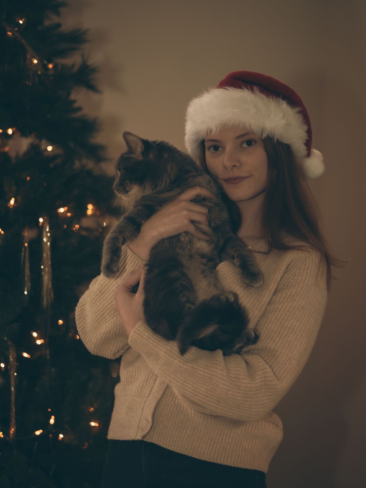 Someone wearing a Santa hat and cream sweater holds a fluffy grey cat in front of a decorated Christmas tree.