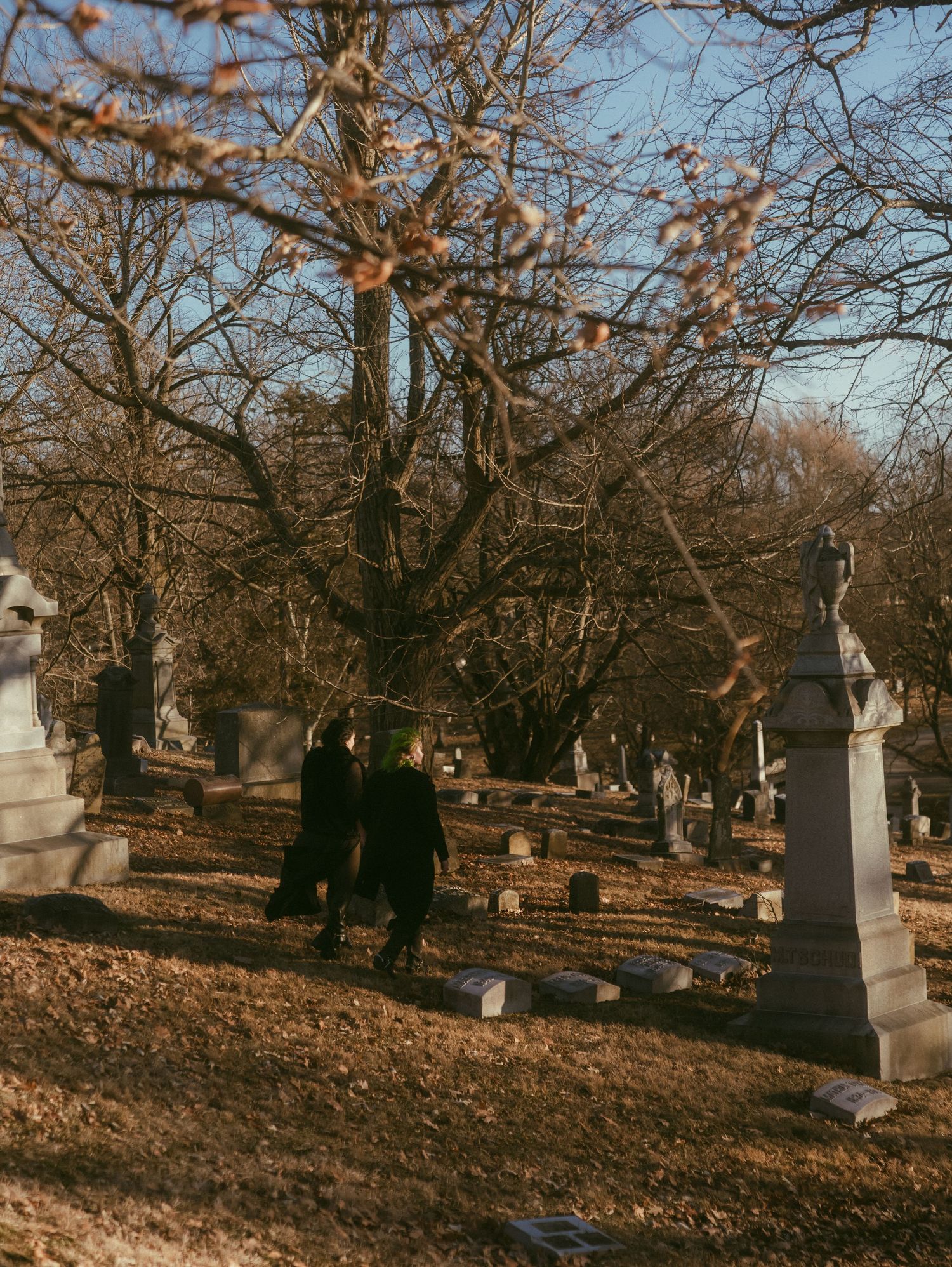 Autumn cemetery landscape with scattered headstones and bare trees casting long shadows.