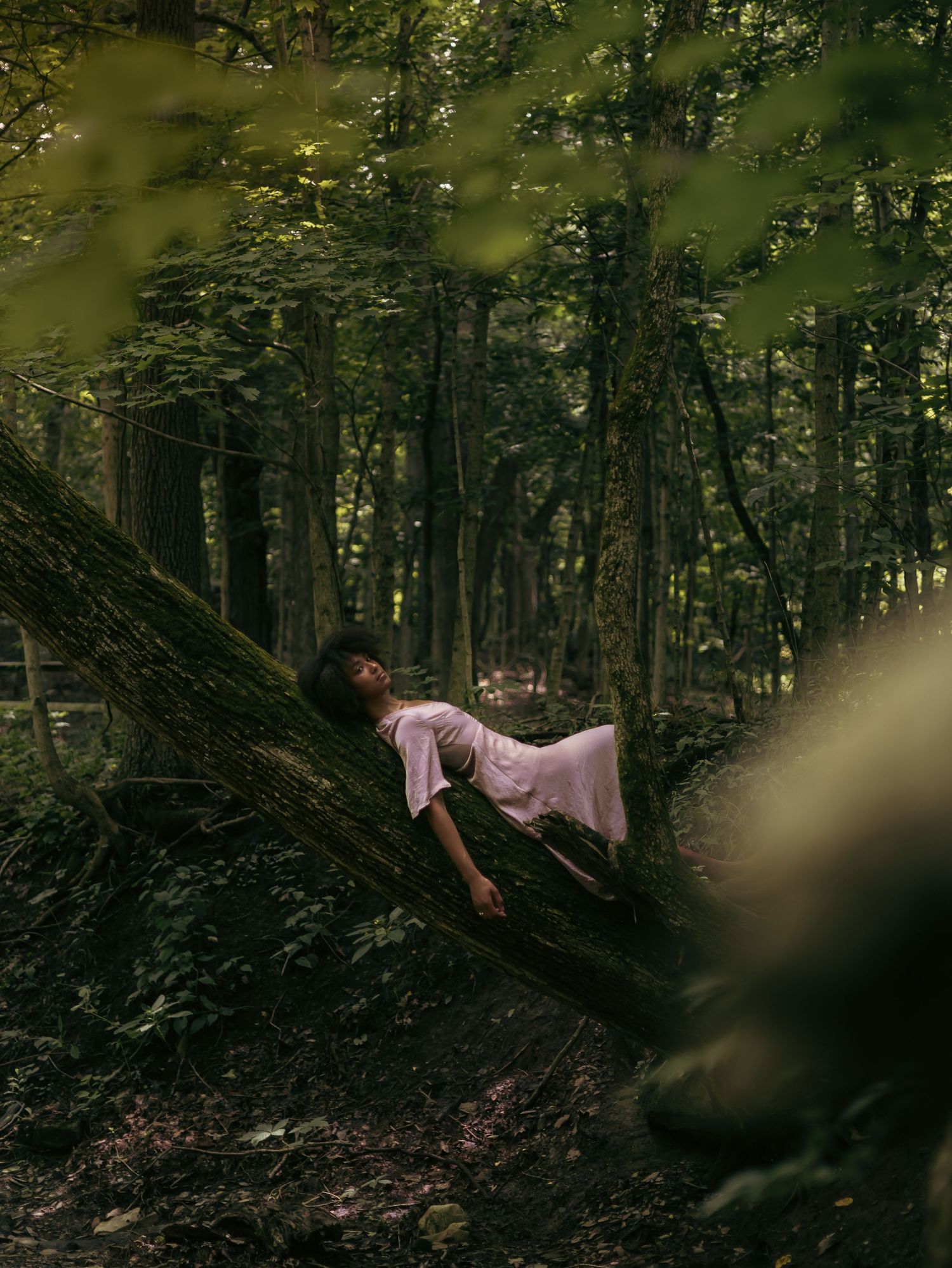 A dreamy forest scene with someone in a pink dress reclining on a fallen tree trunk in moody lighting.