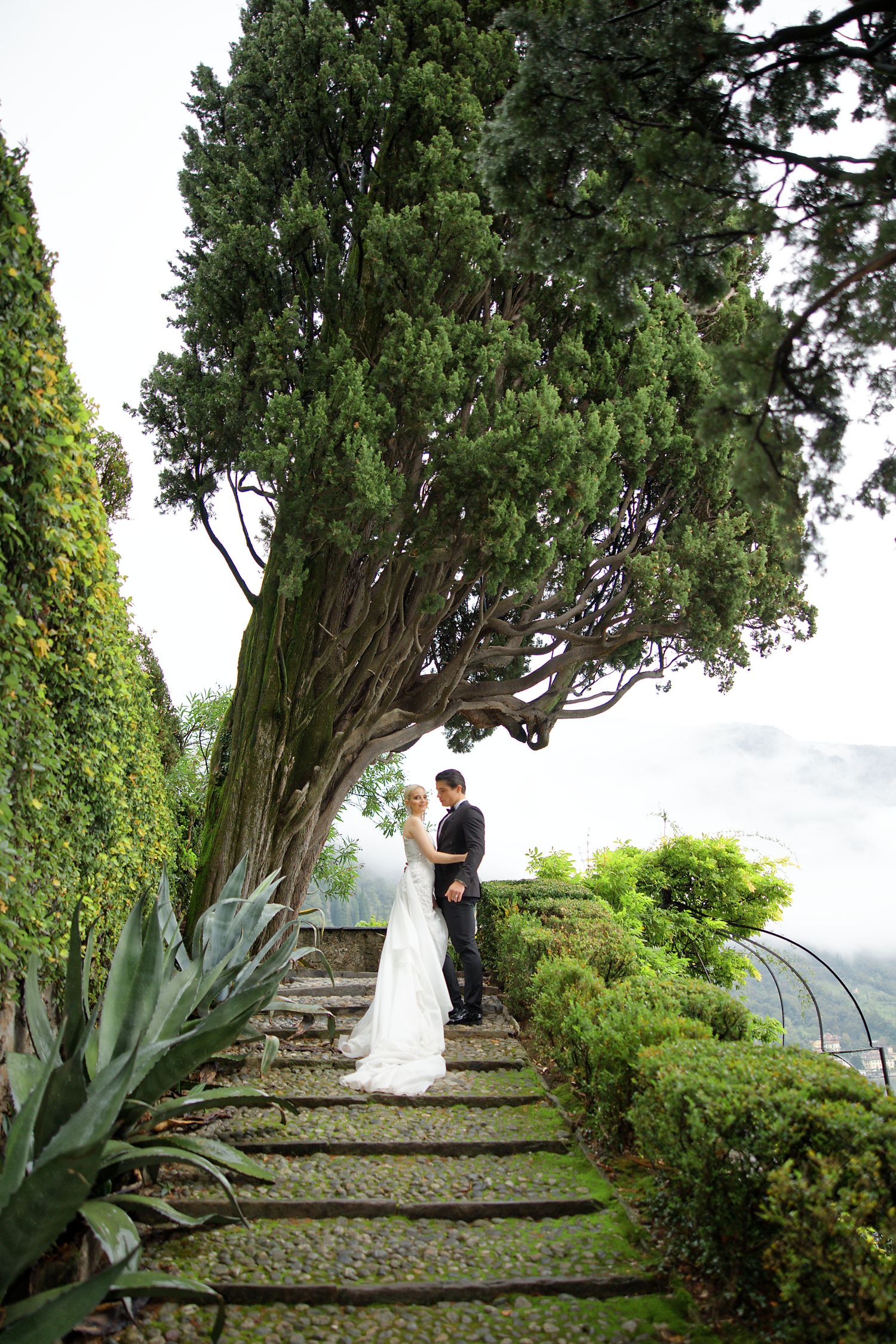 Wedding couple stands on stone garden steps beneath majestic cypress tree.