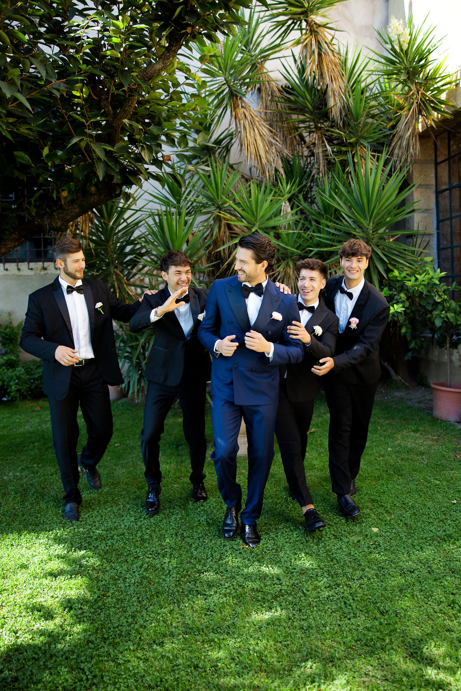 Wedding party of groomsmen in formal suits walking and laughing together on a lawn with tropical plants.