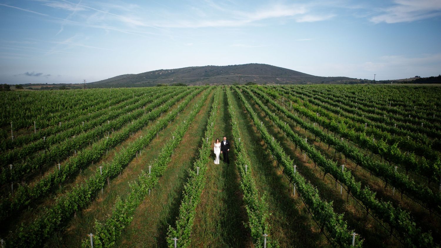 Aerial view of a vineyard with neat rows of grapevines stretching toward distant hills under blue sky.