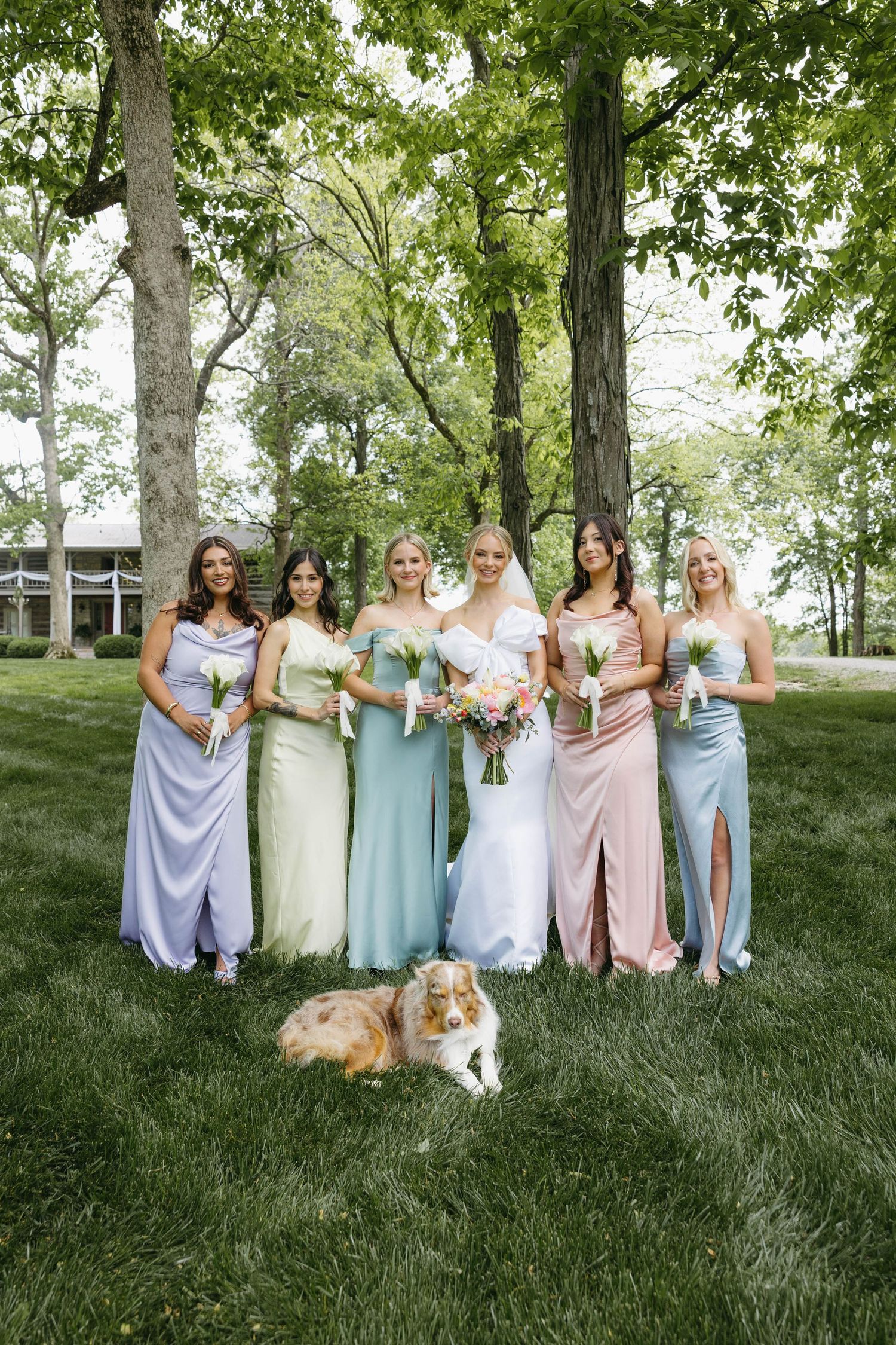 bride with her bridesmaids and dog