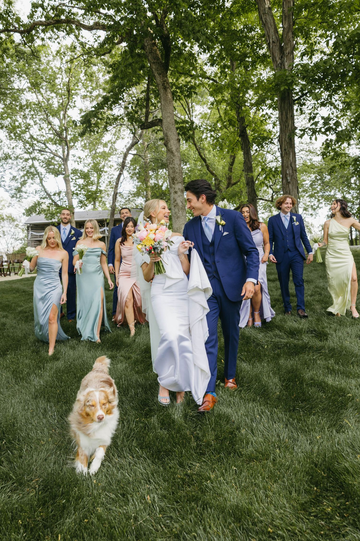 Birmingham Alabama Photographer capturing bride and groom with bridal party and dog in a field, at Iris Woods Venue in Nashville, Tennessee