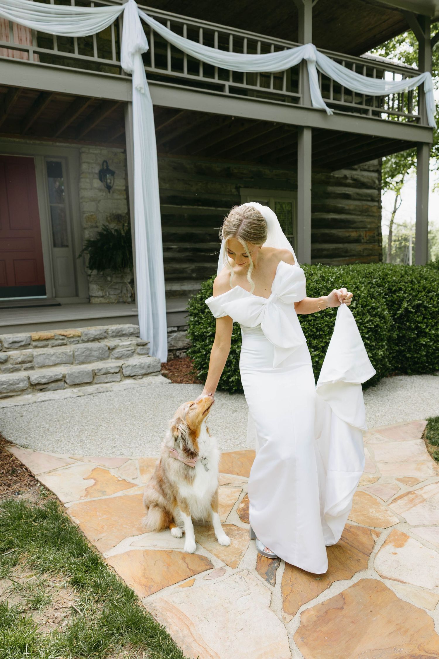 bride petting her Australian shepherd