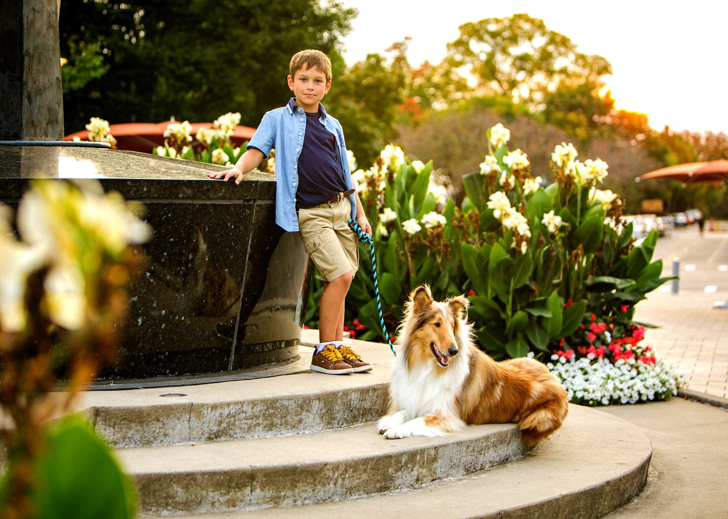Child milestone portrait with dog in Rochester, MI by Jocelyn M. Photography—young boy with a Rough Collie on steps.