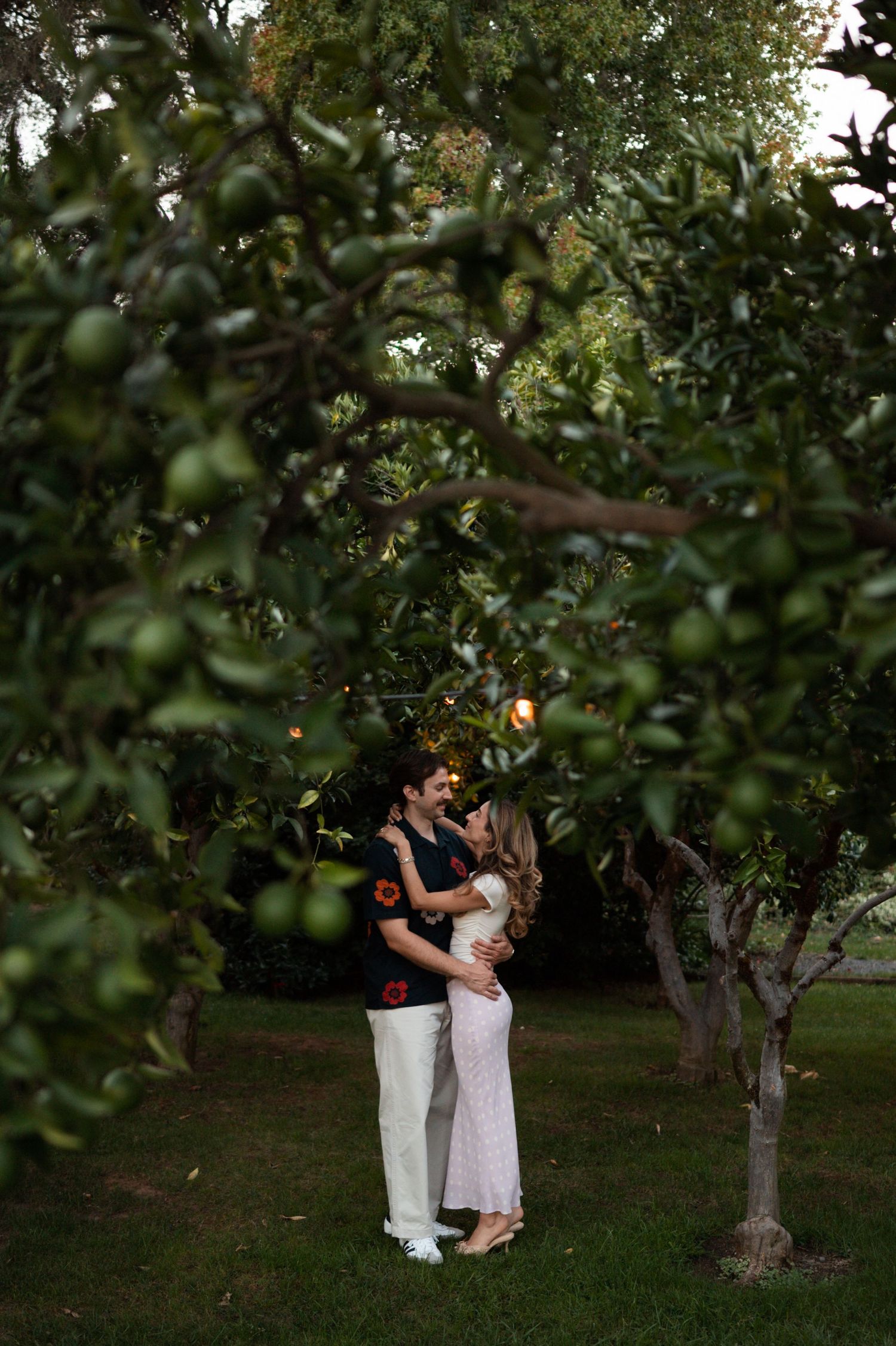 Couple embracing and kissing under lush green fruit trees with warm string lights in a romantic garden setting.