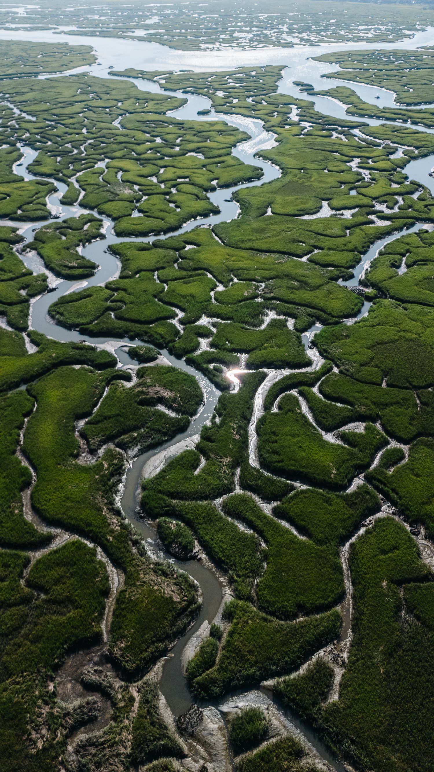 Aerial view of winding waterways through green marshland creating intricate patterns in coastal wetlands.