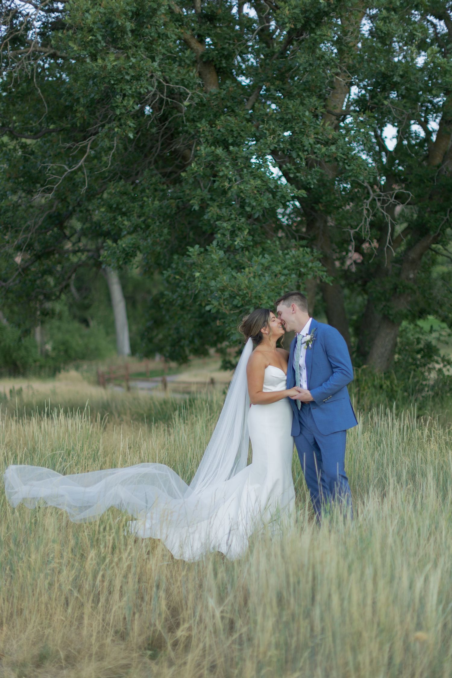 Bride in a strapless white gown with a long flowing veil kisses her groom in a blue suit in a tall grass field beneath large green trees.