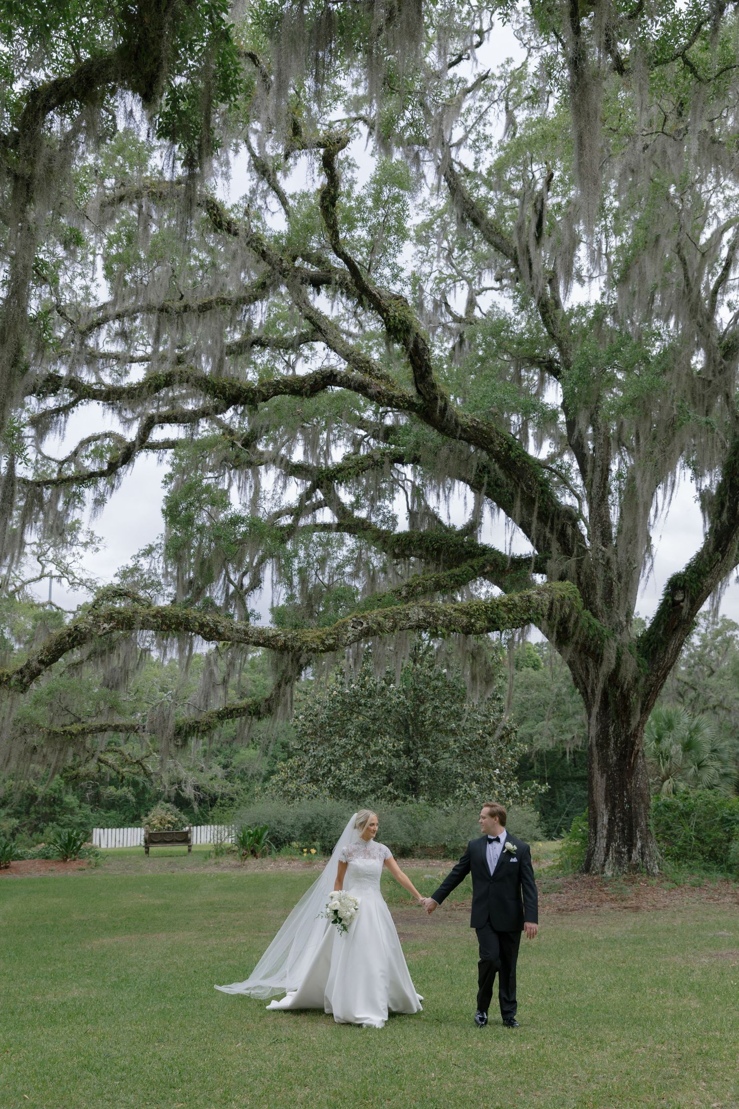 Bride and groom hold hands walking across lush lawn beneath sweeping Spanish moss-draped oak tree at Southern venue.