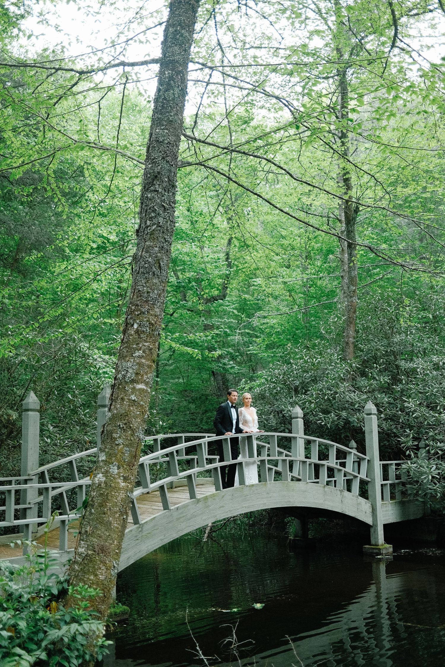 A curved wooden footbridge spans over a tranquil pond in a lush green forest setting.