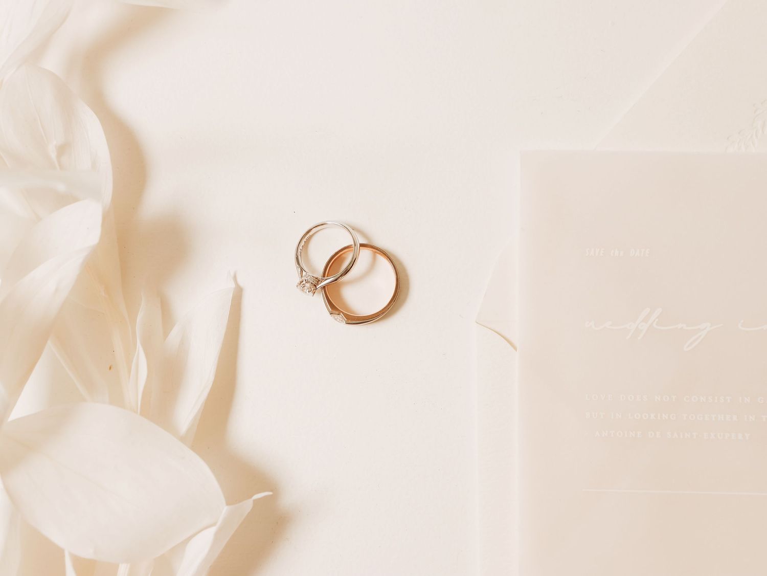 Wedding rings captured for wedding in Miami, FL