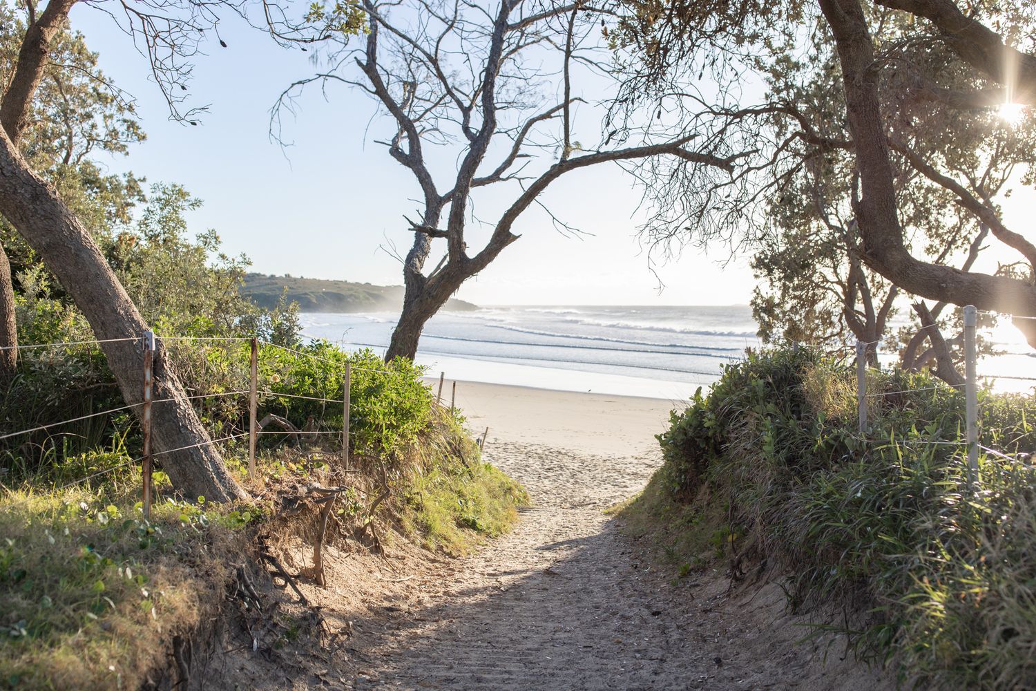 A scenic coastal path with trees and ocean views stretches along a sandy beach.
