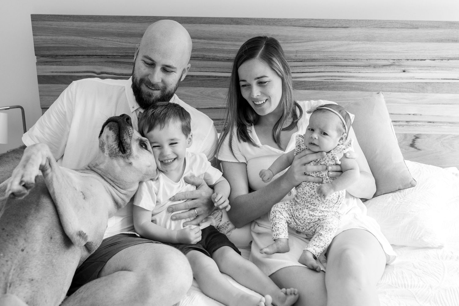 Black and white family photo with parents, toddler, newborn baby, and dog sitting together on a bed. Coffs Coast photographer.