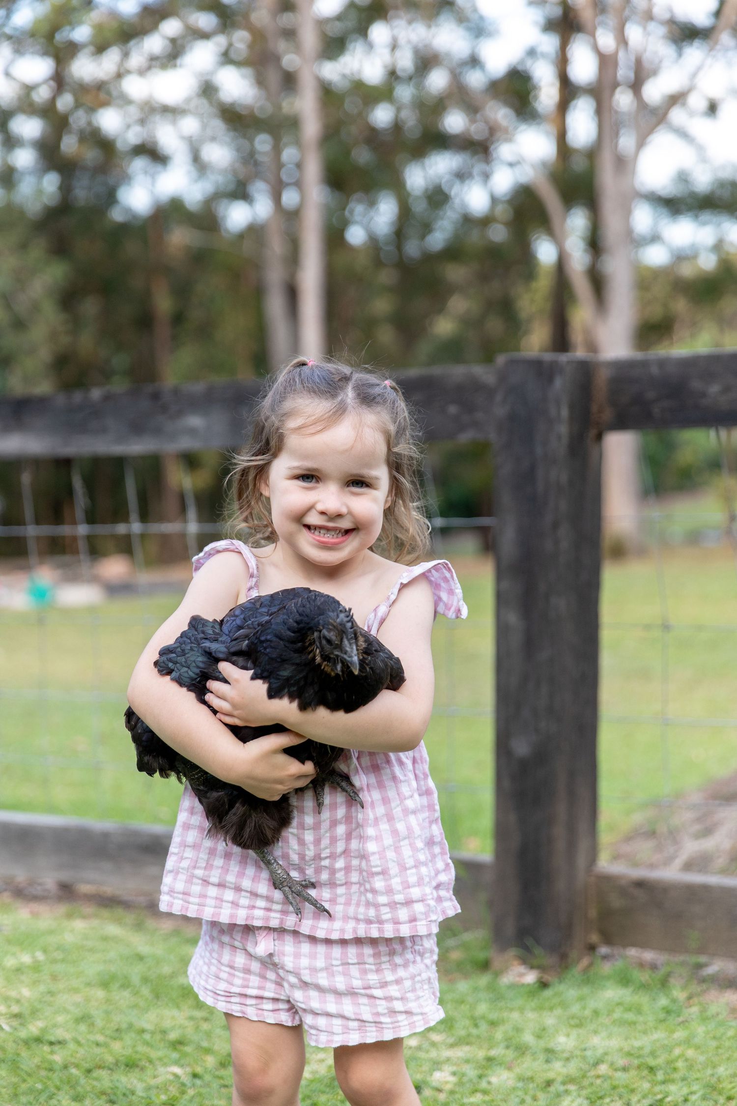 Young person in pink gingham dress holding black chicken in outdoor farm setting.