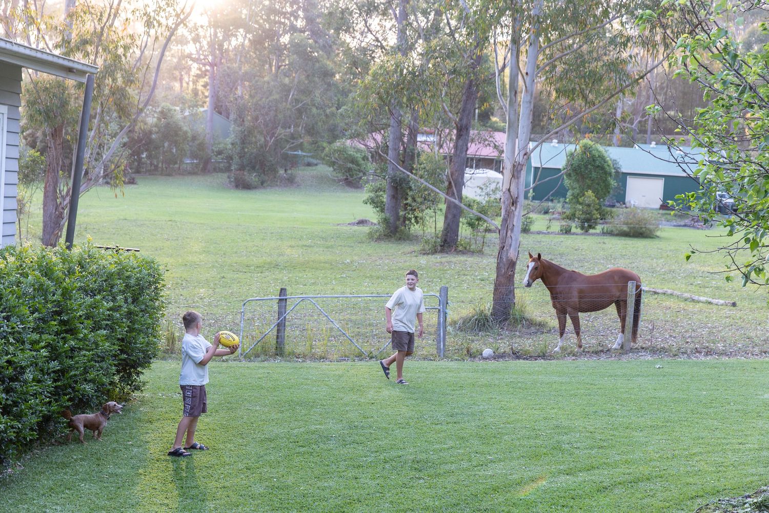 Scenic view of a rural property with horse, trees, and grassy landscape.