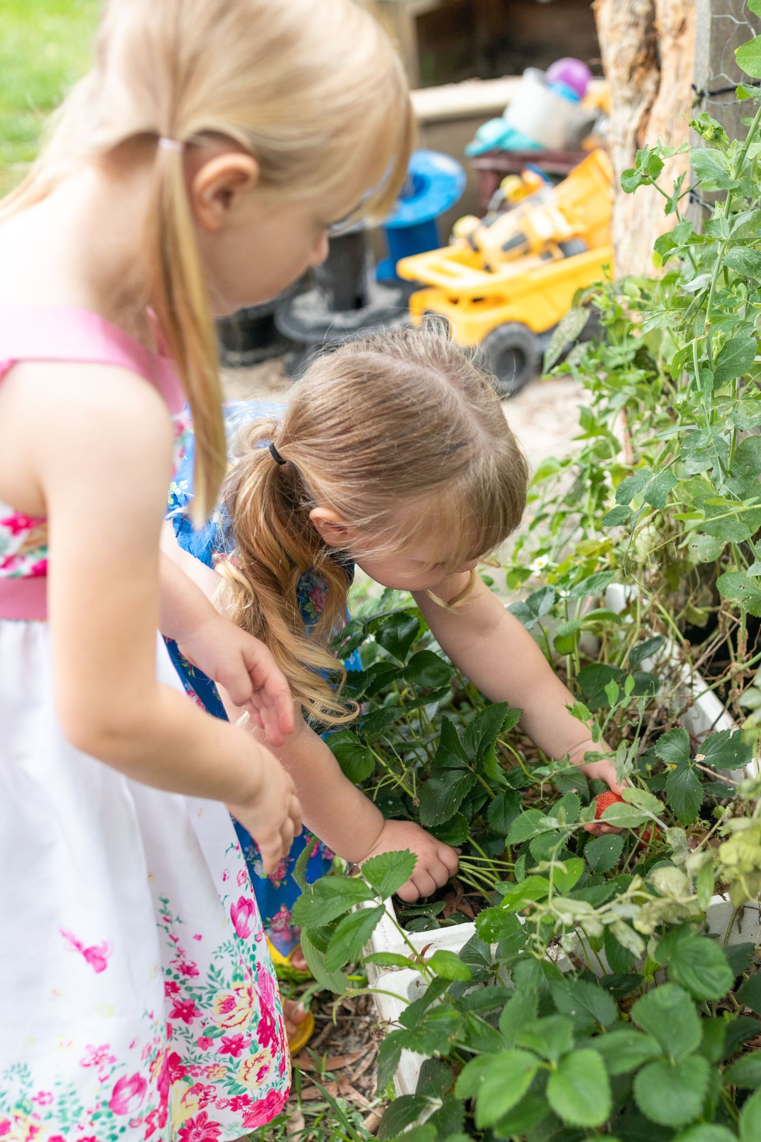 Candid preschool moment with children playing outdoors on the Coffs Coast