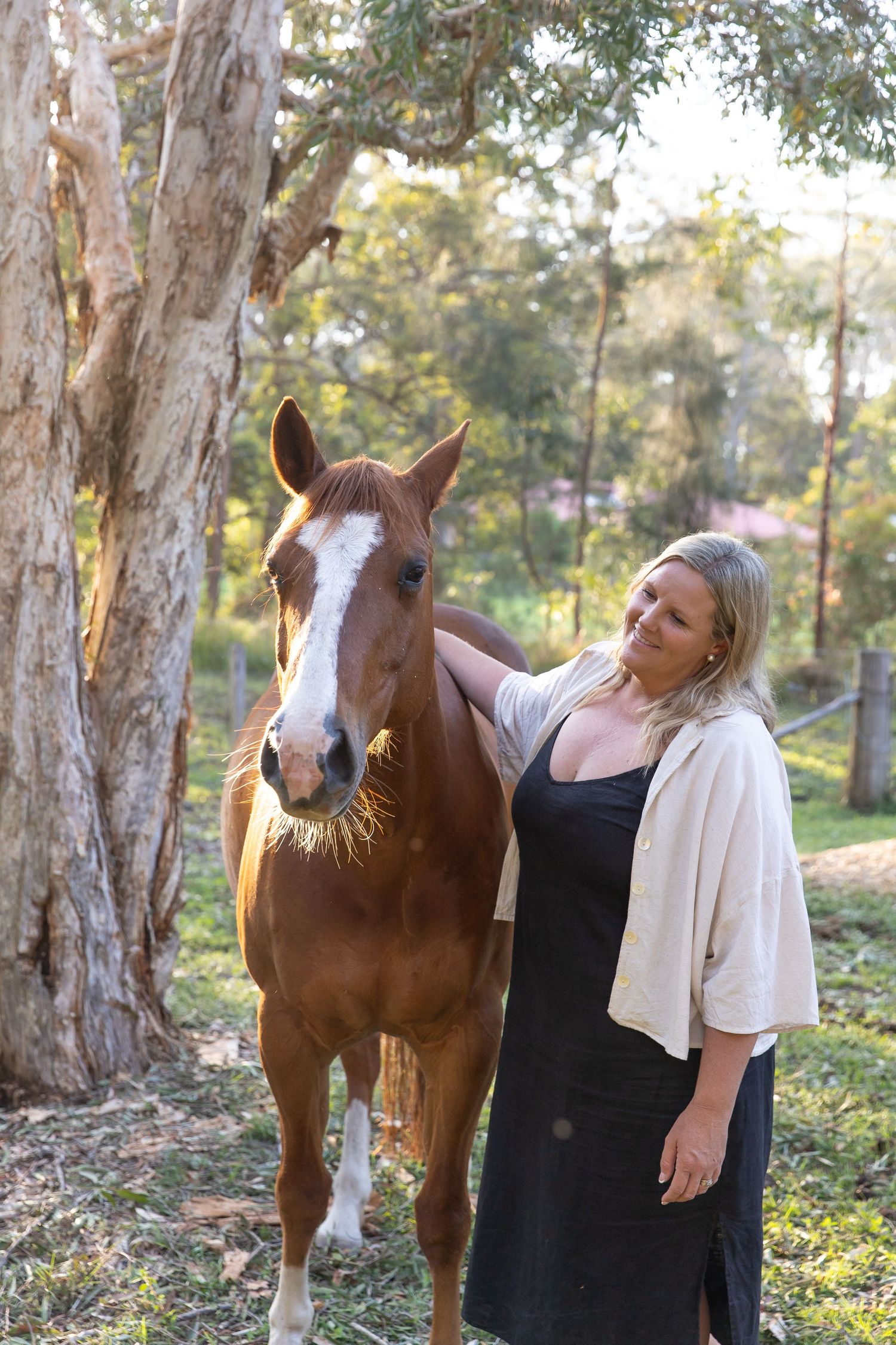 A brown and white horse stands among tall eucalyptus trees in a natural outdoor setting.