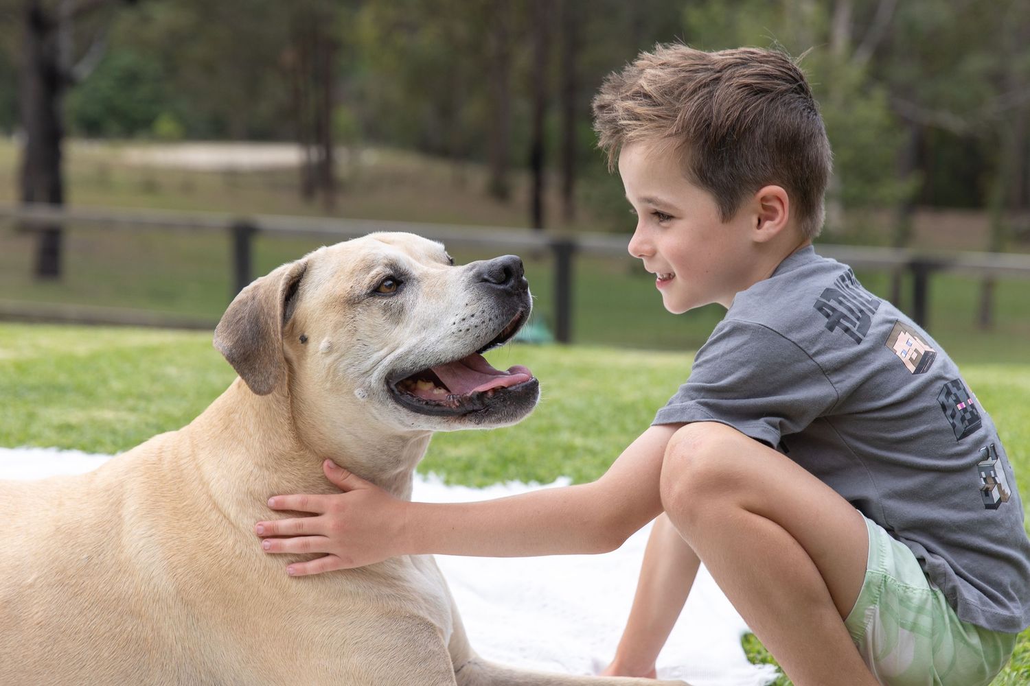 Young boy bonding with a friendly Labrador dog in an outdoor setting.