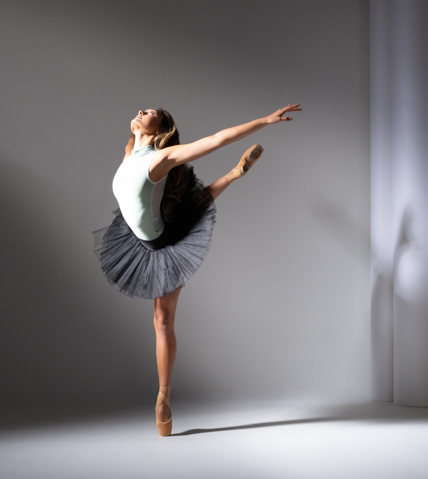 Ballerina in tutu performs elegant dance movements against a light grey backdrop.