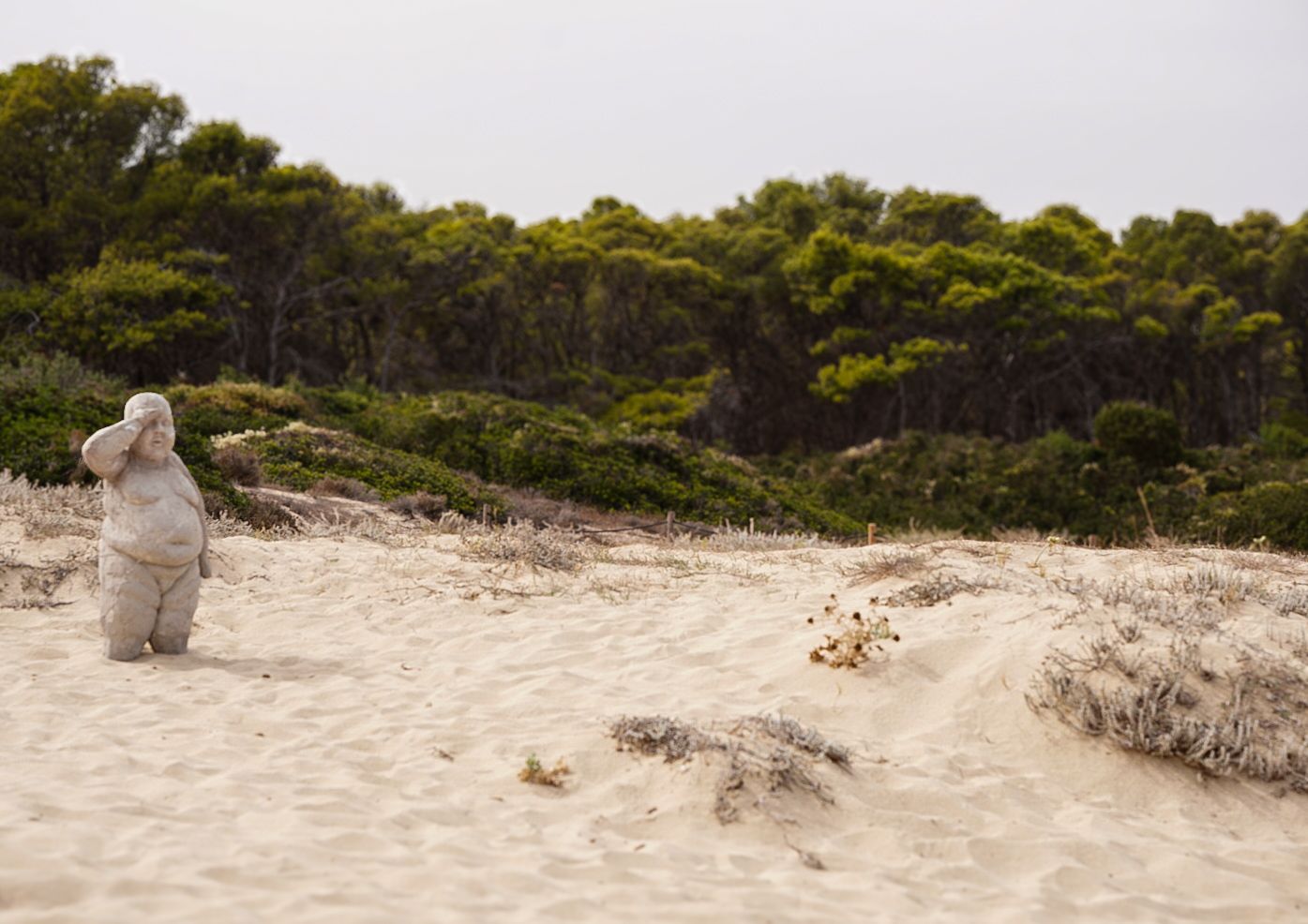 A solitary figure walks along sandy coastal dunes with dense forest in the background.