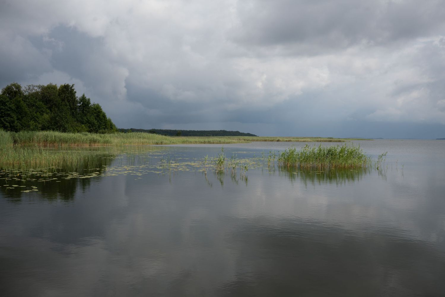 Storm clouds gather over a tranquil lake dotted with reeds and grasses along the shoreline under moody gray skies.