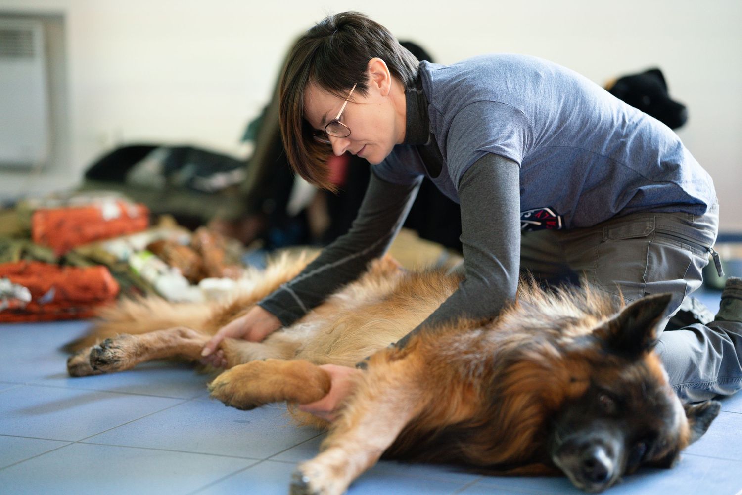 Canine massage therapy session in progress on a blue exercise mat.