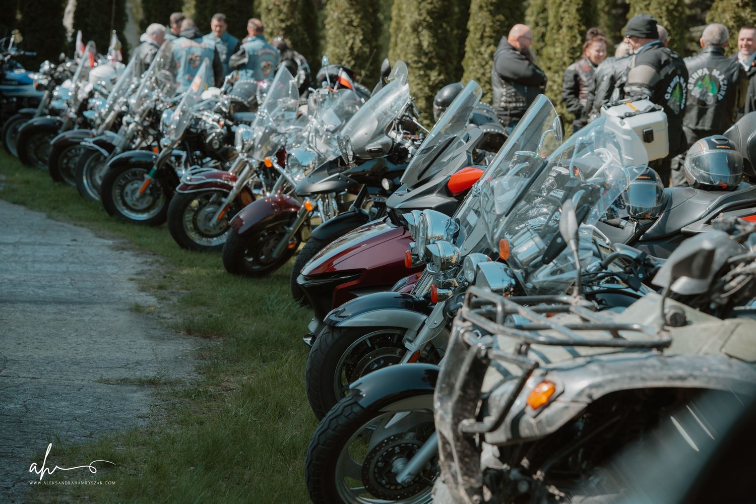 A row of parked motorcycles lined up at a motorcycle rally or gathering with chrome details glistening in sunlight.