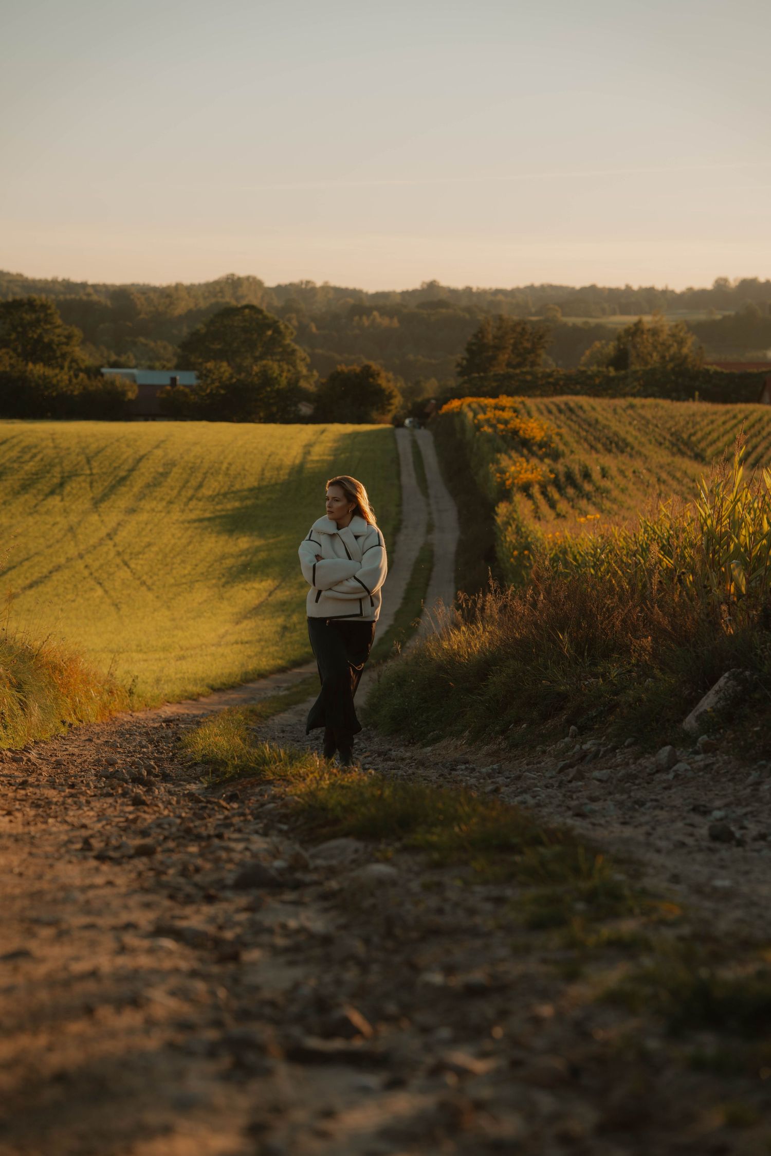 A person walks along a dirt path through golden vineyards at sunset, creating a peaceful rural landscape scene.