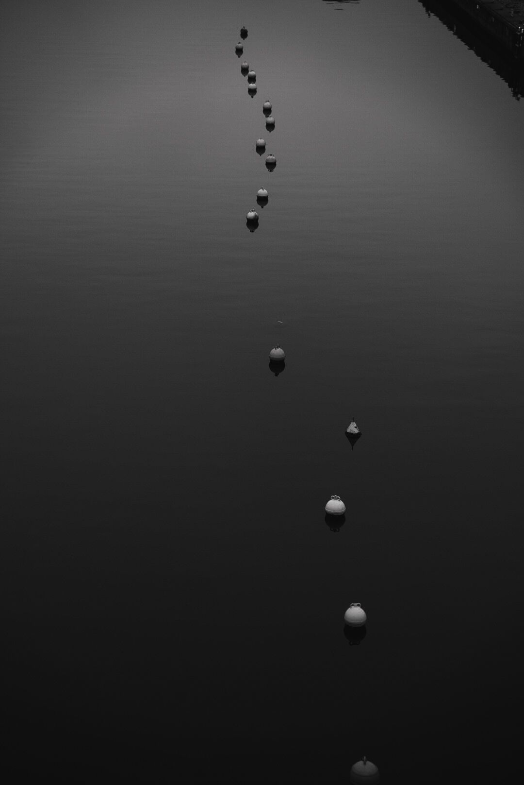 Minimalist black and white photograph of buoys forming a curved line on dark water.