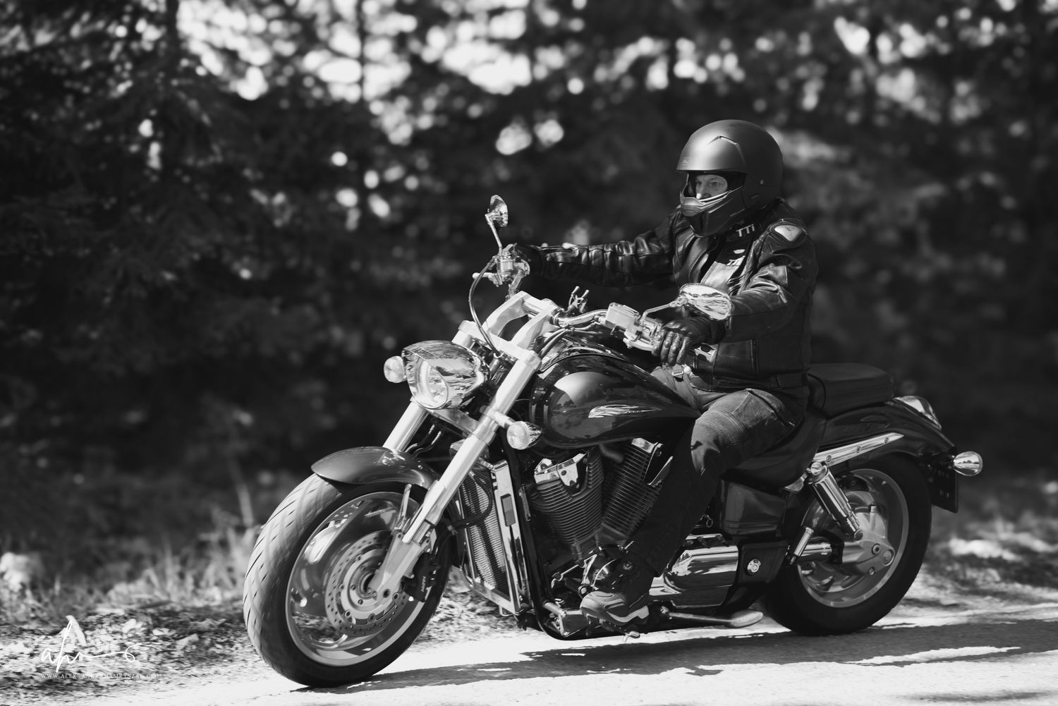 A motorcyclist in black leather gear rides a powerful cruiser motorcycle on a forest road in black and white.
