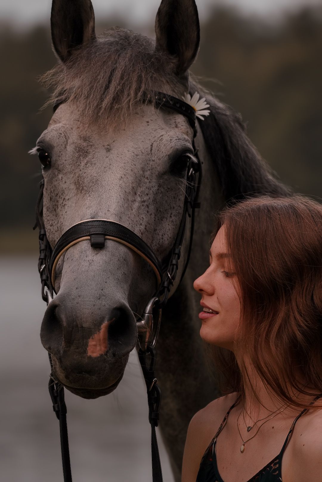 A gentle moment between a grey horse and its companion in soft lighting.