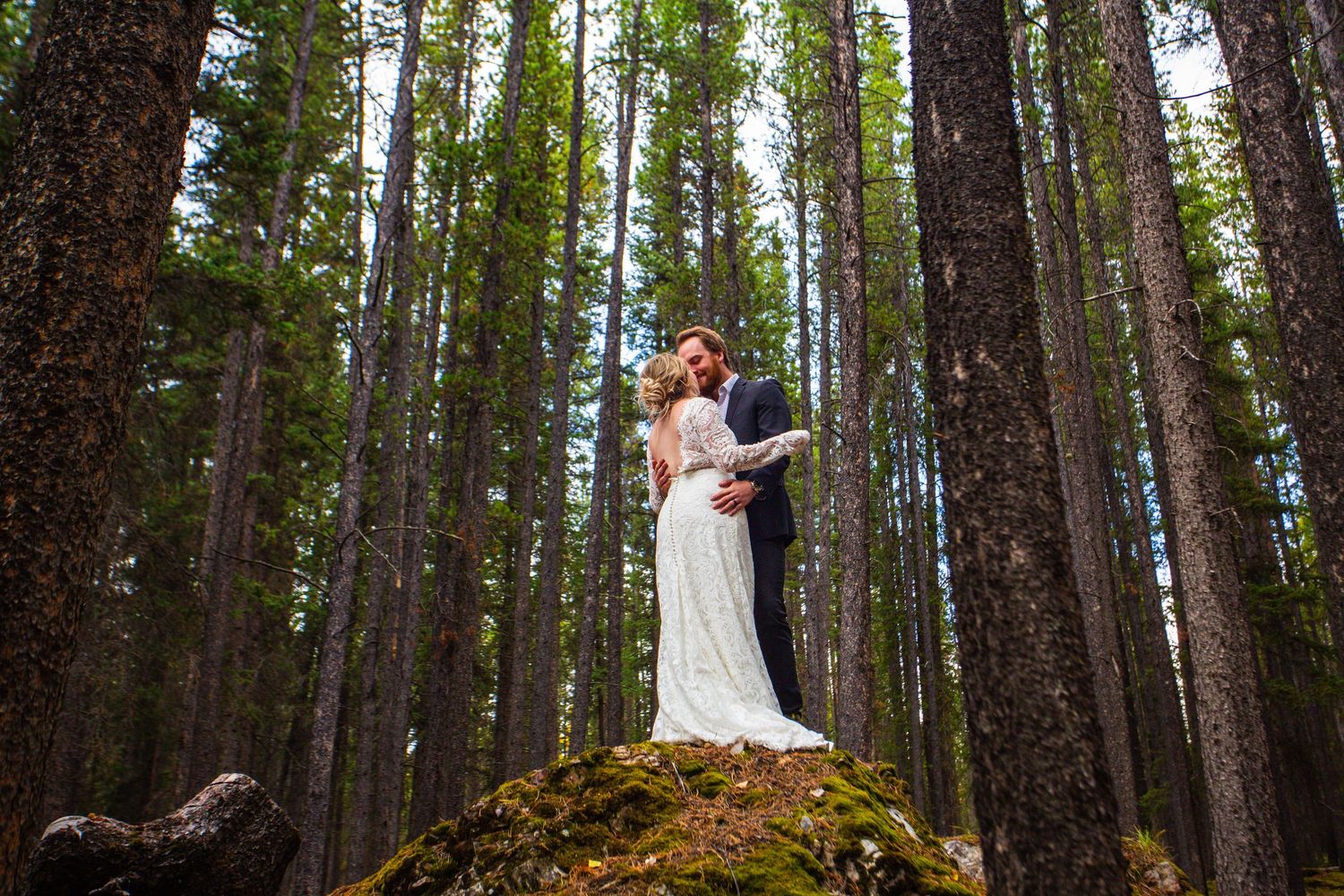 A couple in wedding attire embraces while standing on a moss-covered rock in a tall pine forest.