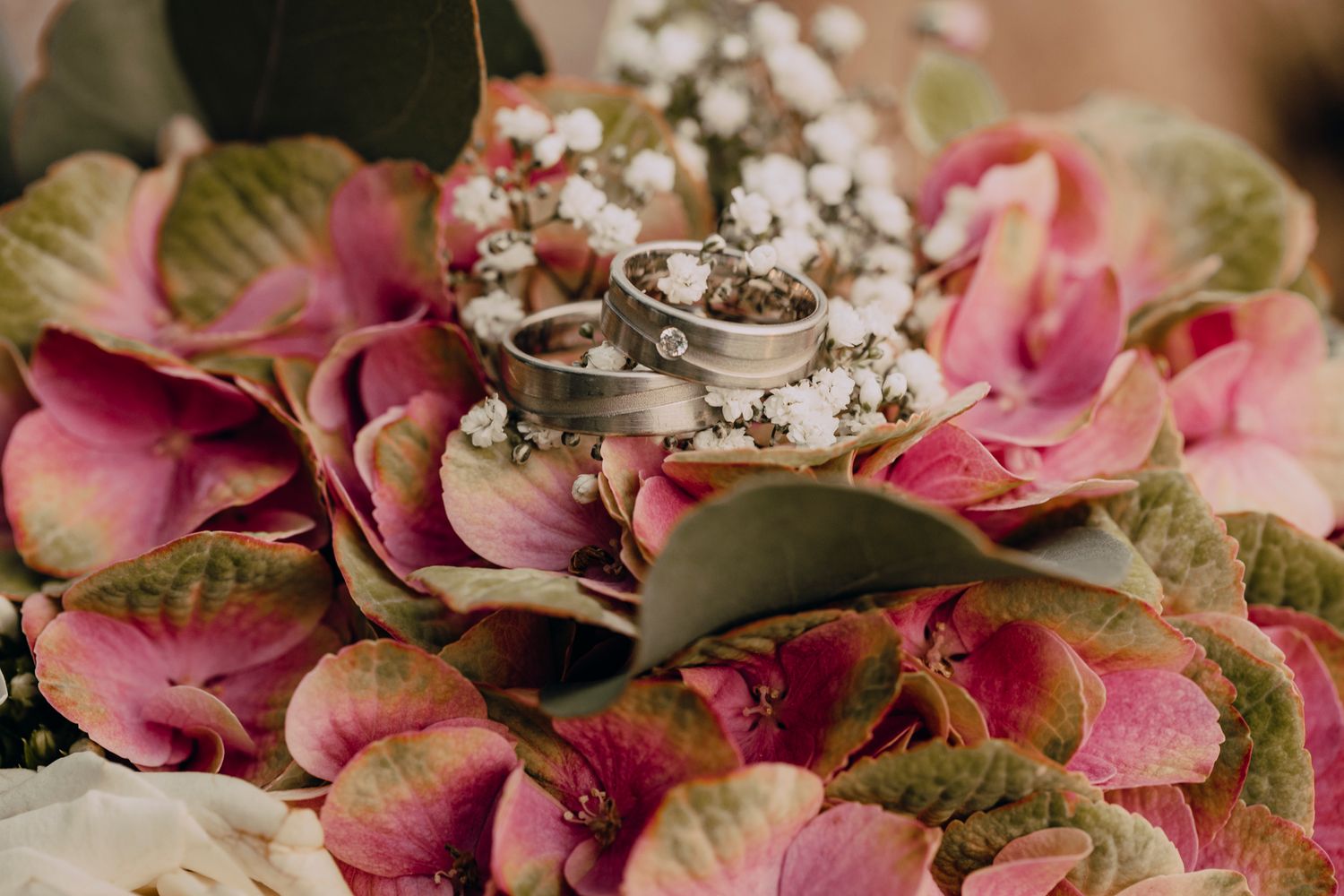 Dried pink hydrangea flowers arranged in a vintage style showing various stages of fading and color transformation.