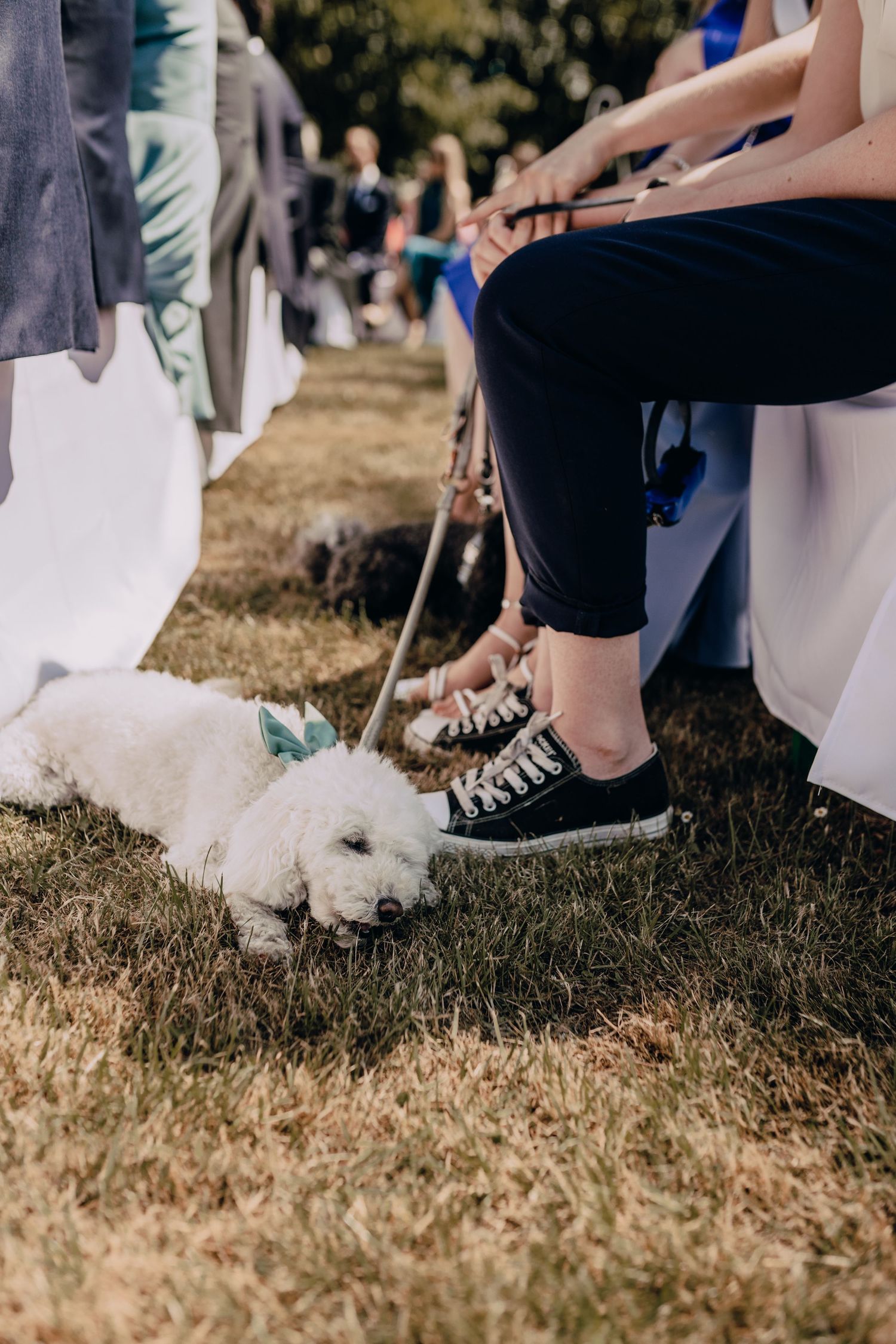 Row of feet in casual shoes lined up on grass at an outdoor wedding ceremony.