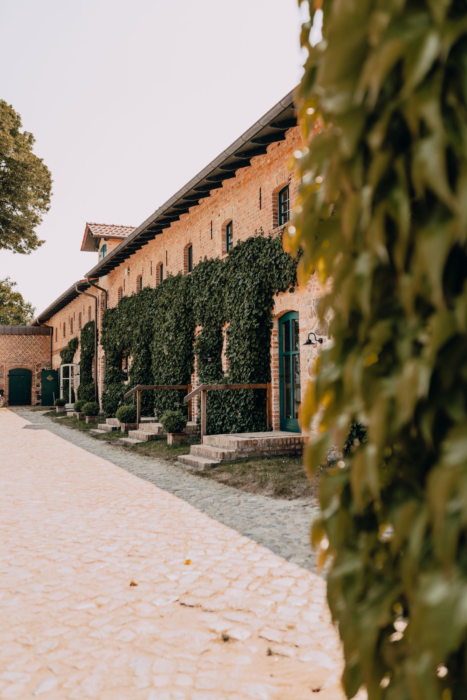Rustic brick building with climbing ivy and arched windows along a paved walkway.