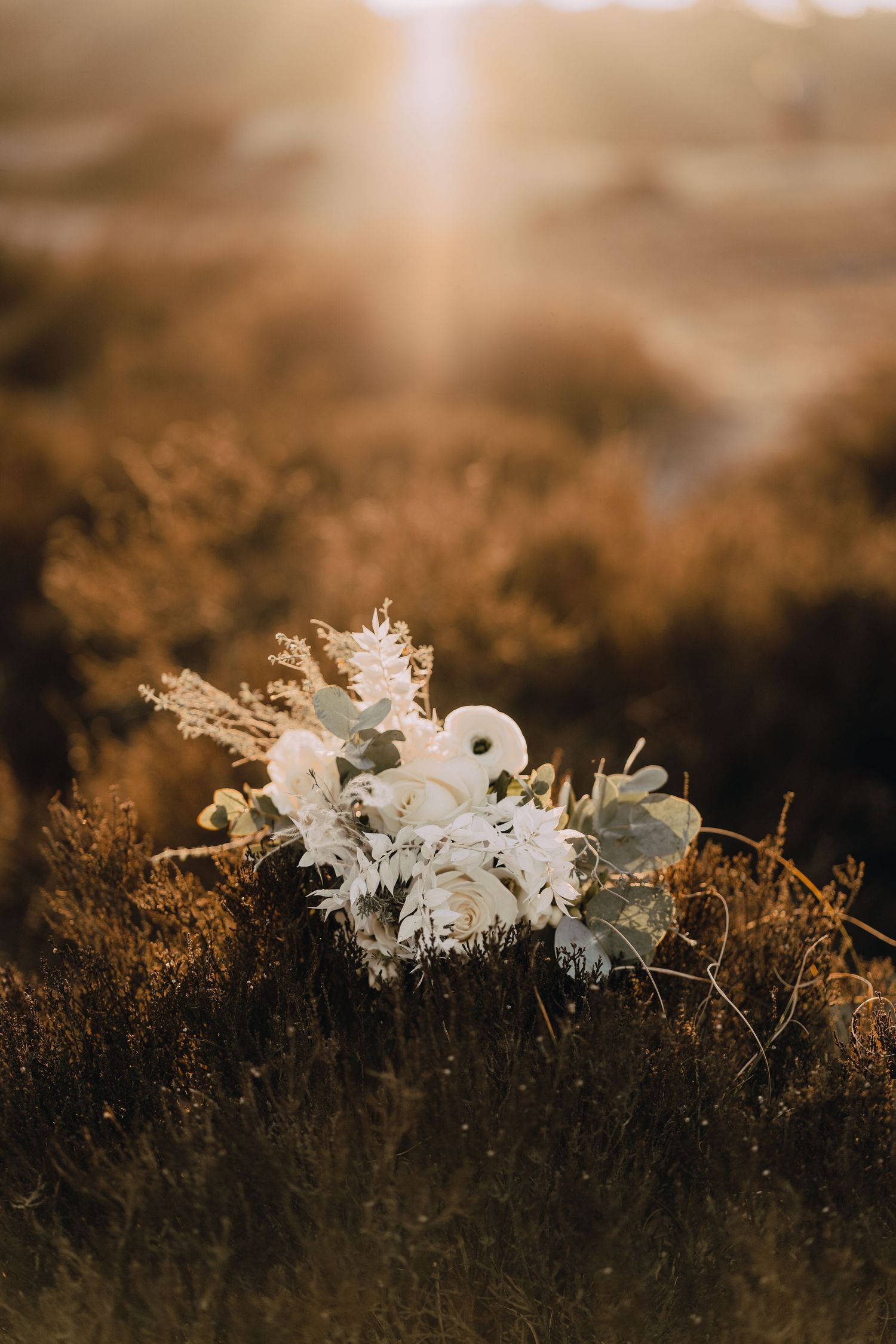 Glücksmomente Kerstin Jochens, Wedel, Schleswig- Holstein, Sonnenuntergang, Sunset, Licht, Sonne. Holmer Sandberge, Stimmung, Fotografie