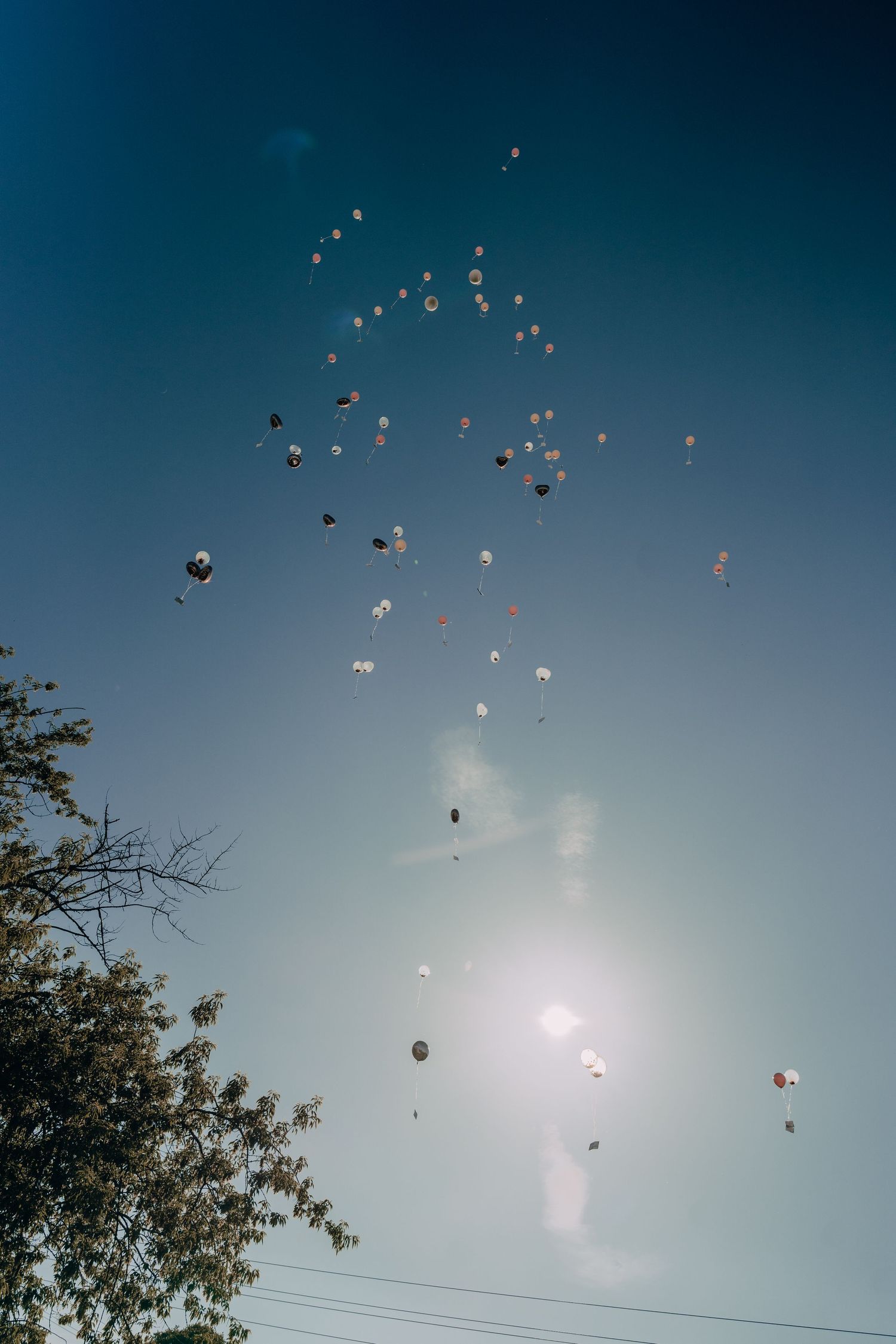 Multiple balloons floating against a deep blue sky with sunlight creating a dreamy atmospheric scene.