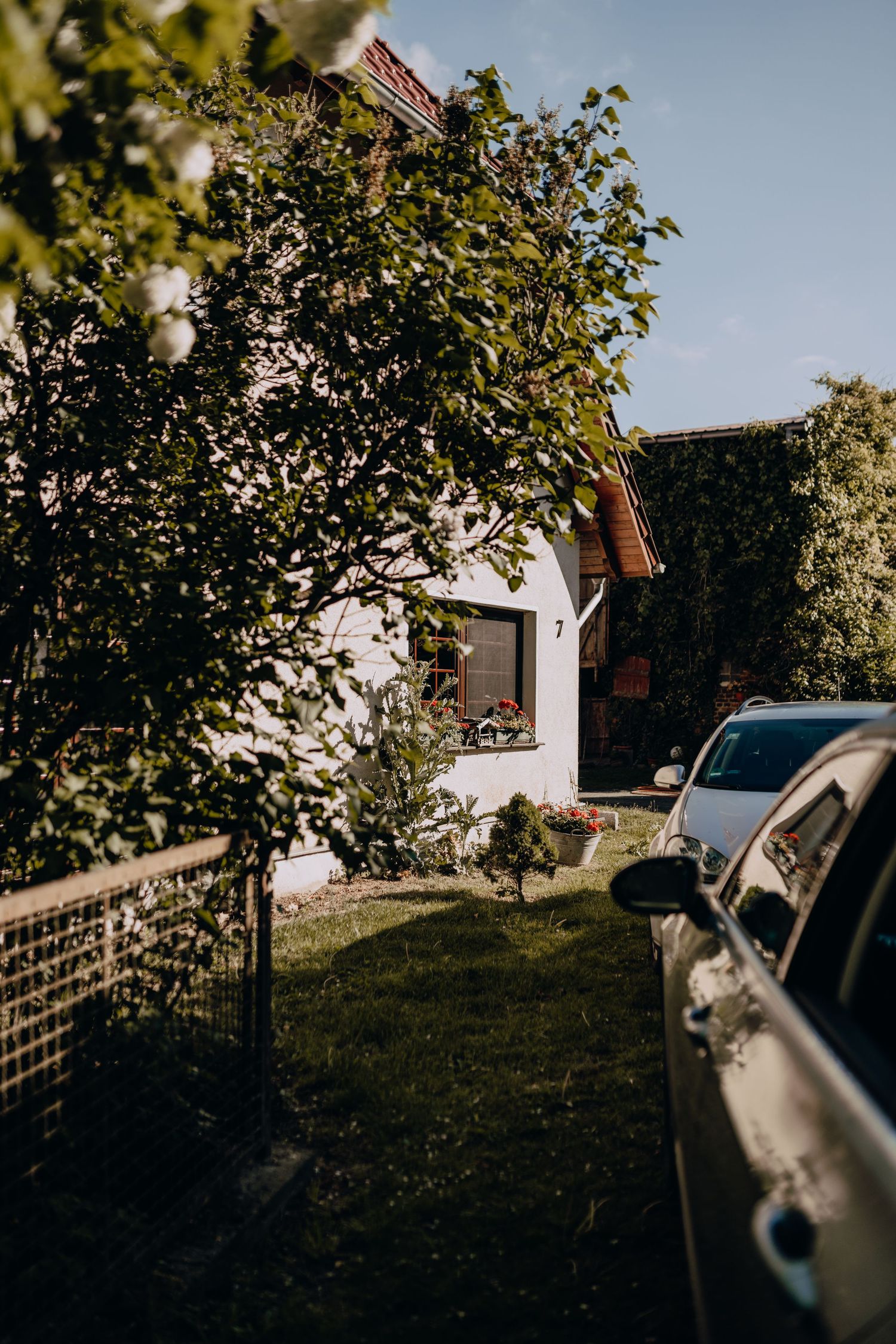 Small house with white exterior surrounded by lush green trees and a parked car in the driveway.