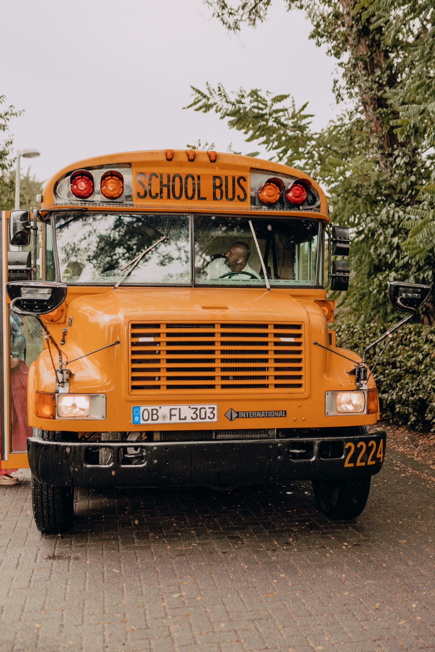 Three classic yellow American school buses parked in a row on a paved surface with trees in the background.