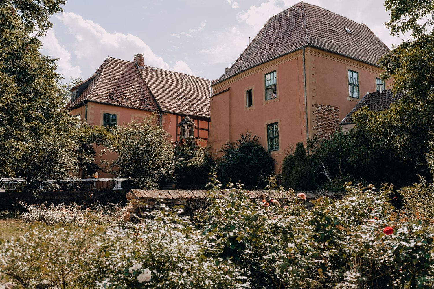Row of brick houses with blooming wildflowers and daisies in the foreground under summer sky.